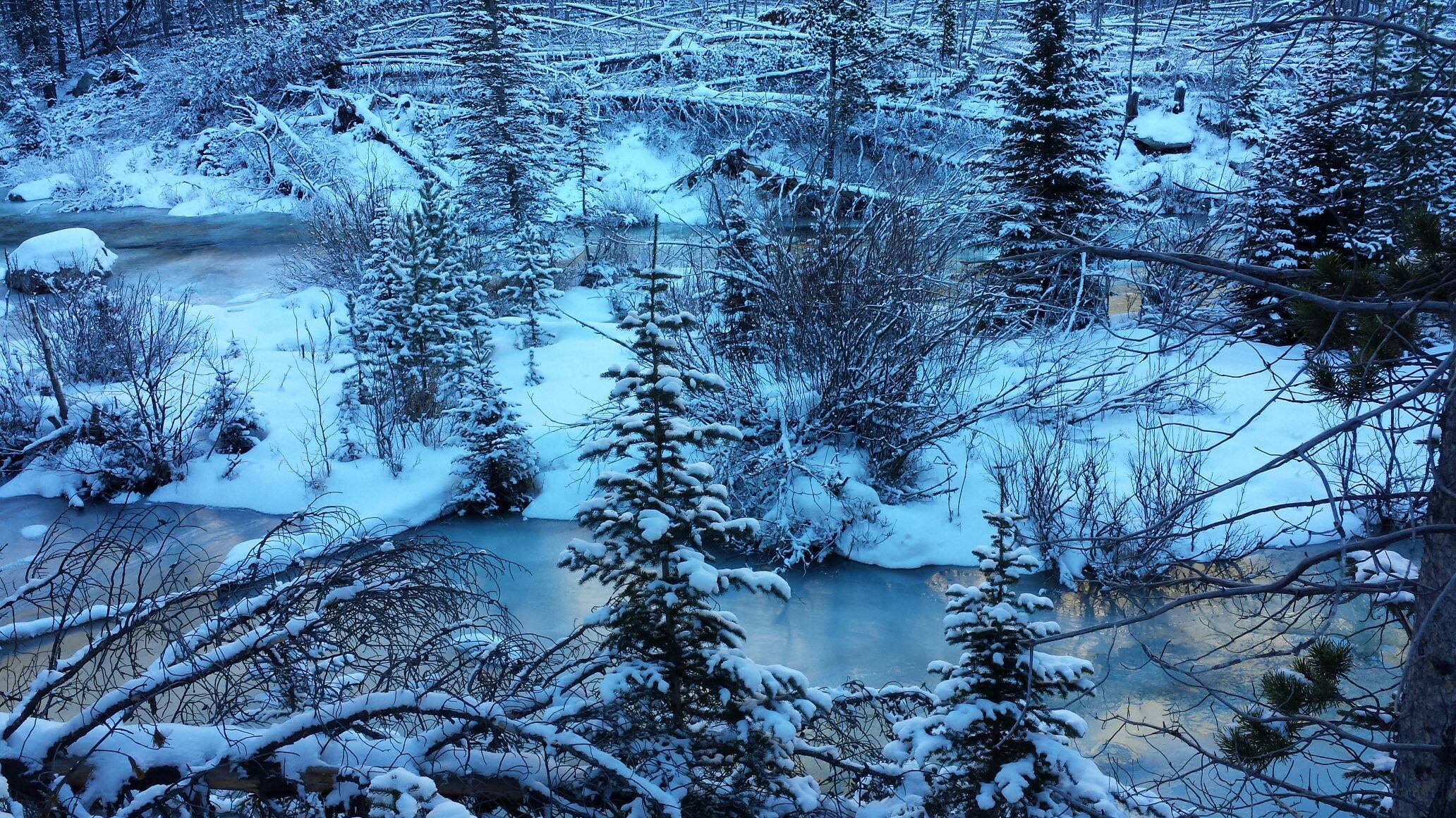 frosty forest river