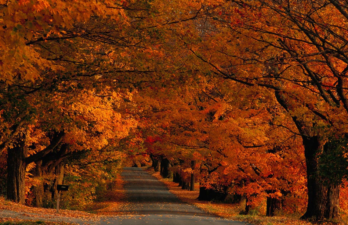 autumn country road